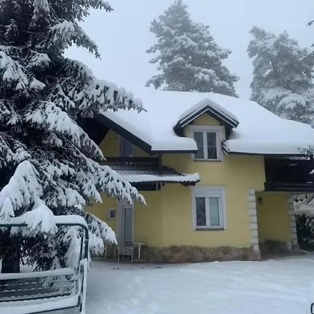 Yellow House * Palisat