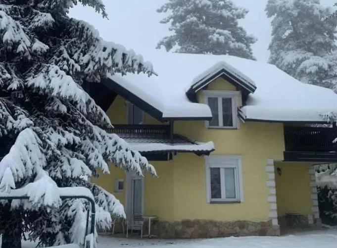 Yellow House * Palisat